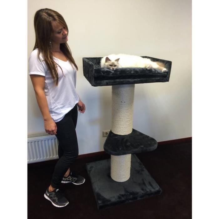 arbre a chat maine coon lounge